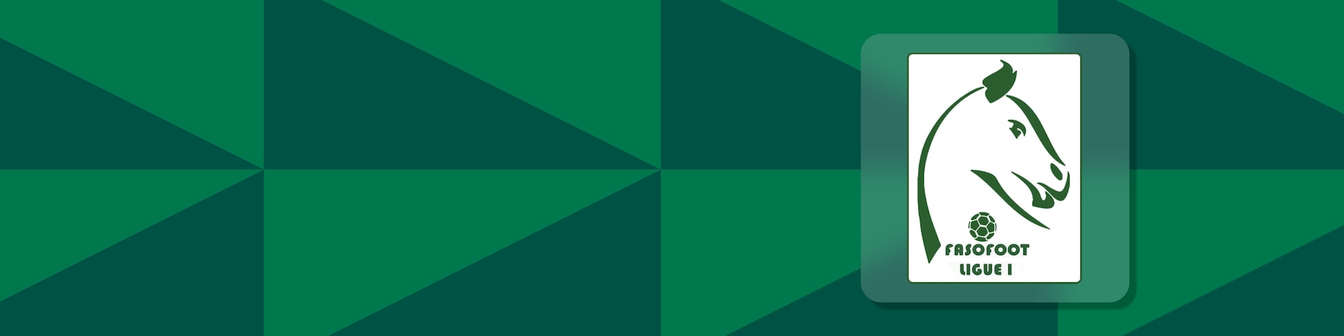 Ligue 1 Masculine