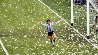 Argentinien - Niederlande