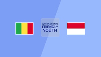 Mali v Indonesia
