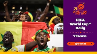 FIFA World Cup Daily, by Hisense | Day Eleven