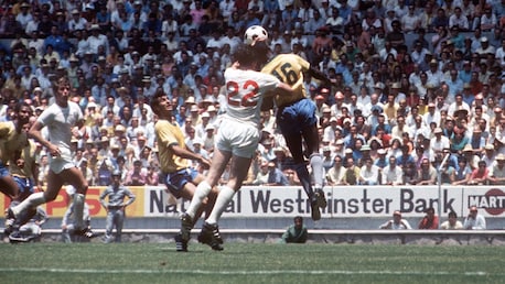 Erweiterte Highlights