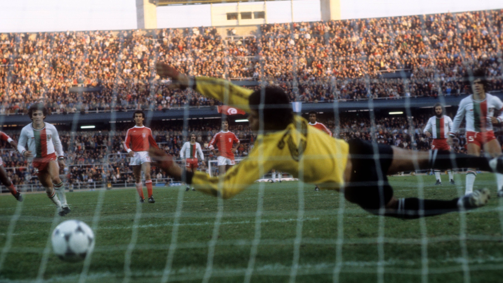 Arturo Vázquez Ayala Goal 45' | Tunisia vs Mexico | 1978 FIFA World Cup Argentina™