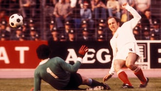 Polonia vs Argentina