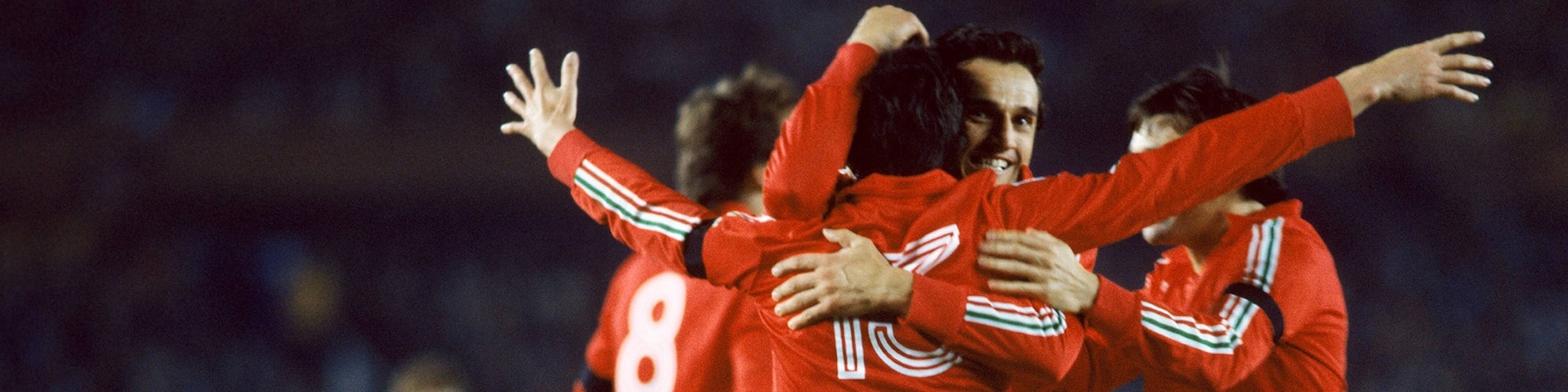 Contenido por Idioma de Comentarios