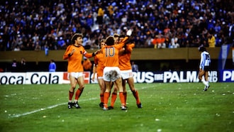 Argentina vs Países Bajos