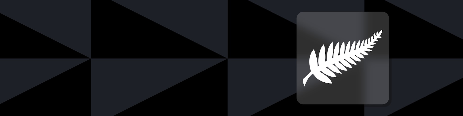 Amichevoli Internazionali