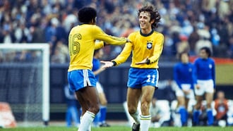 José Dirceu Guimarães | Bronze Ball Award | Coppa del Mondo FIFA Argentina 1978