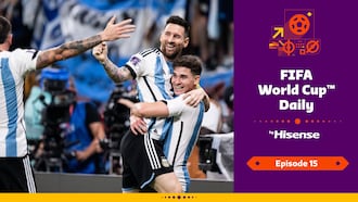 FIFA World Cup Daily, by Hisense | Day Fifteen