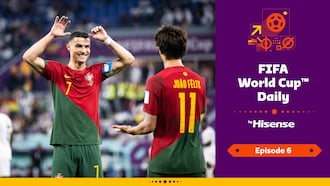 FIFA World Cup Daily, by Hisense | Day Six
