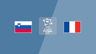 Slovenia v France
