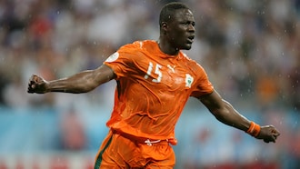 Côte d'Ivoire v Serbia and Montenegro