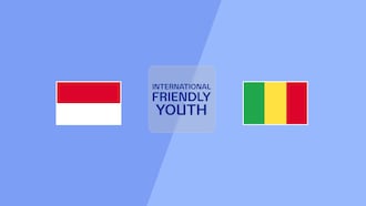 Indonesia vs Malí