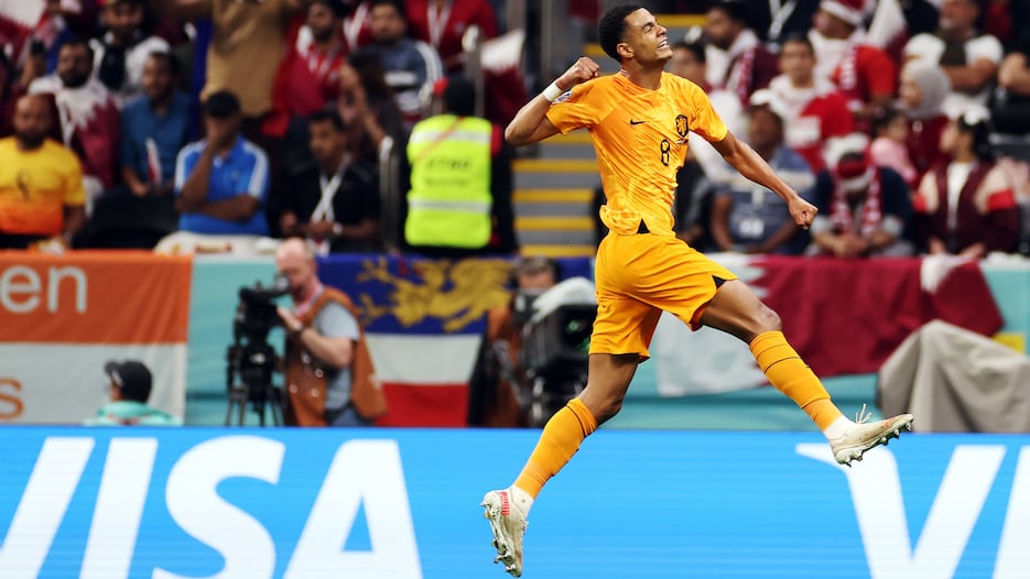 Il gol di Cody Gakpo al 26' | Olanda - Qatar | Coppa del Mondo FIFA Qatar 2022