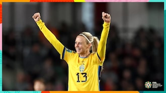 Amanda Ilestedt : la buteuse suédoise inespérée