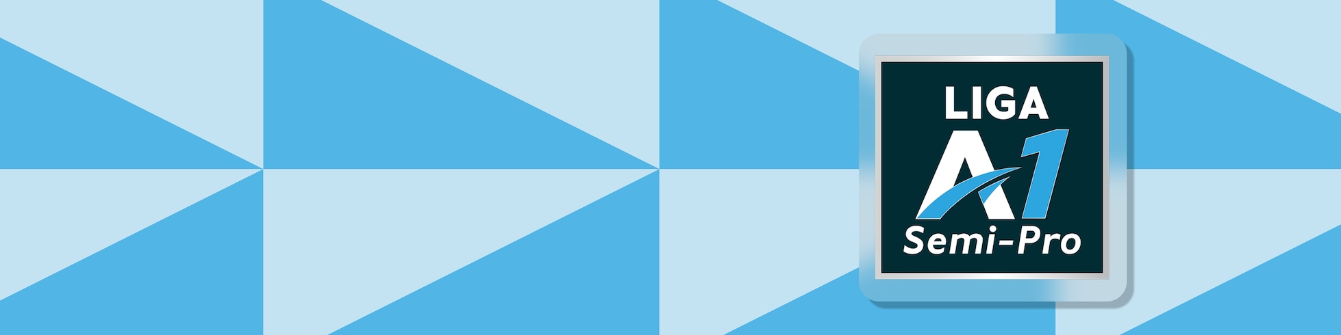Liga A1 Semi-Pro