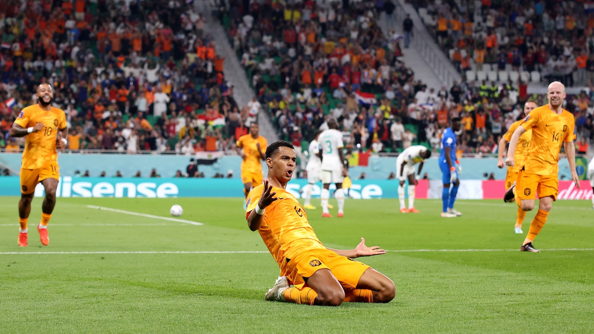 Il gol di Cody Gakpo al 84' | Senegal - Olanda | Coppa del Mondo FIFA Qatar 2022