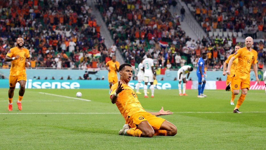 Gol de Cody Gakpo aos 84' | Senegal - Holanda | Copa do Mundo FIFA de 2022, no Qatar