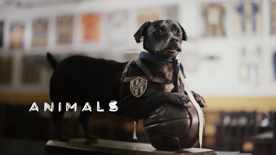 Animales | Misterios del fútbol