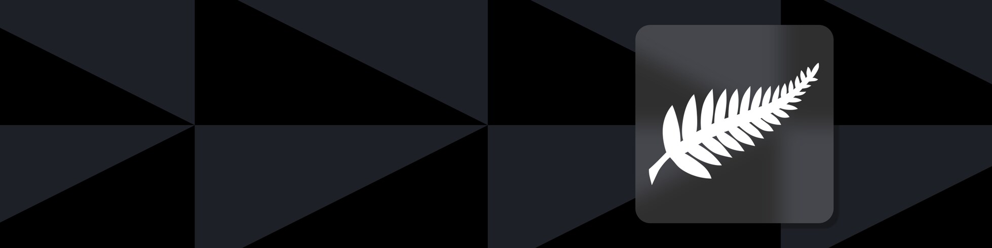 Resumé Video - Matchs amicaux internationaux 2024