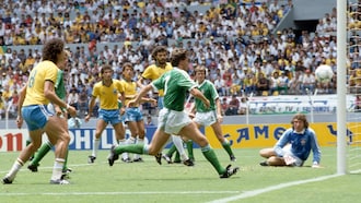 Irlanda del Norte vs Brasil
