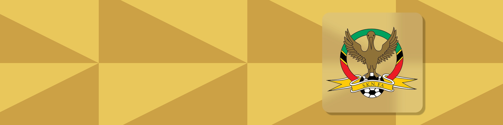 Repeticiones - Liga Premier de SKNFA