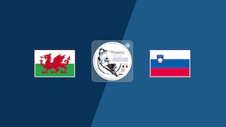 Gales vs Eslovenia