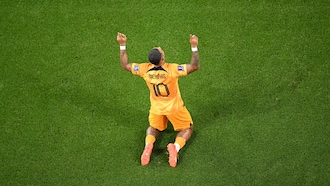 Países Bajos vs EE. UU.