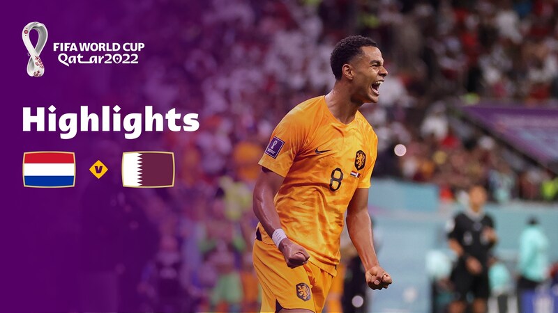 Netherlands vs. Qatar Highlights