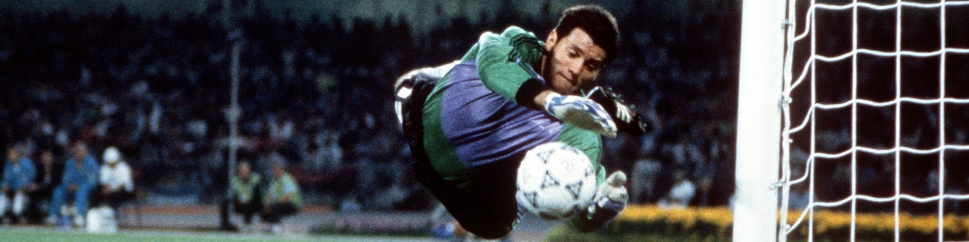 Contenido por Tipo de Video