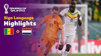 Senegal vs Países Bajos