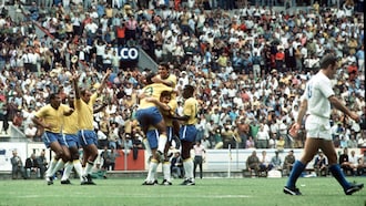 Brazil v Czechoslovakia