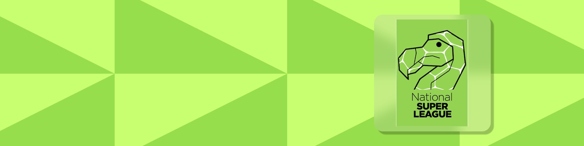 Partidos Completos - Superliga Nacional 2024/25