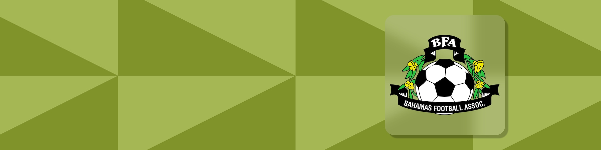 Dirette Streaming - BFA Senior League