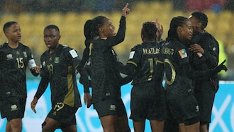 Suecia vs Sudáfrica